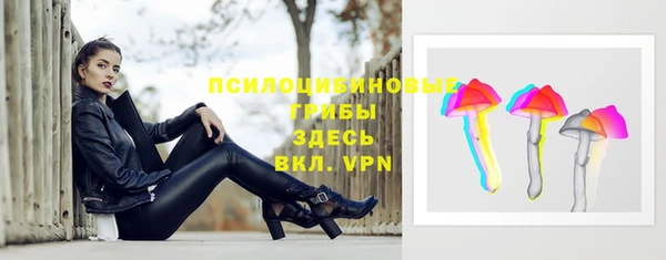 ГАЛЛЮЦИНОГЕННЫЕ ГРИБЫ Абаза