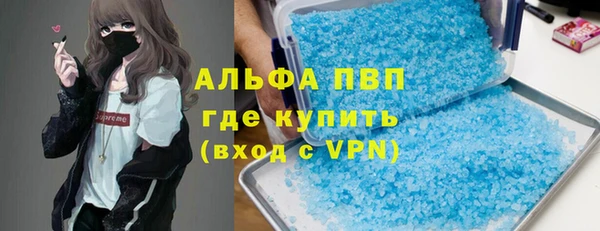 ГАЛЛЮЦИНОГЕННЫЕ ГРИБЫ Абаза