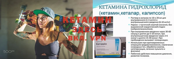 ГАЛЛЮЦИНОГЕННЫЕ ГРИБЫ Абаза